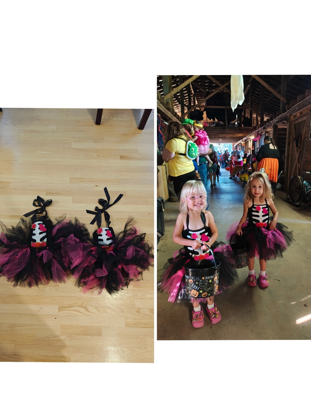 Pair Girls Black & Pink Skeleton Tulle Halloween Costume - dia de los muertos